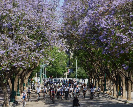 Τρέχουμε – Κάνουμε ποδήλατο και Ενημερωνόμαστε στις 11 Ιουνίου στο Ζάππειο