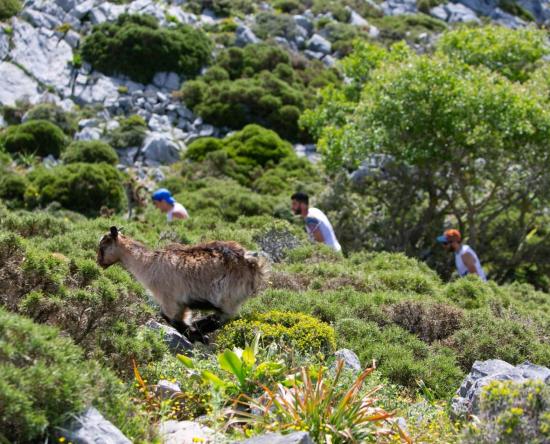 KRONIO Trail: Όταν το Οροπέδιο Λασιθίου σε καλεί… απαντάς με την ψυχή σου